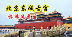 制服淫穴中国北京-东城古宫旅游风景区